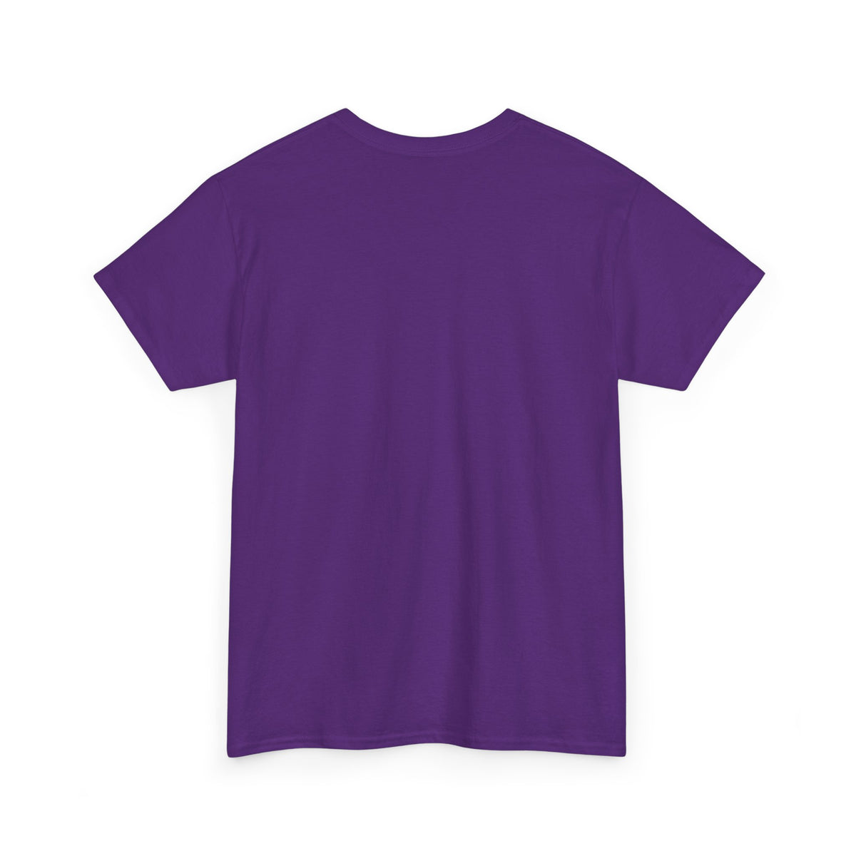 Twin Shirt - Funny Graphic T-Shirt